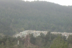 29 aprile 2011